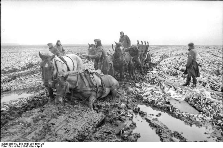 Bundesarchiv_Bild_101I-289-1091-26,_Russland,_Pferdegespann_im_Schlamm.jpg