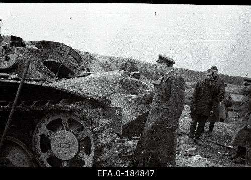 elva11.jpg