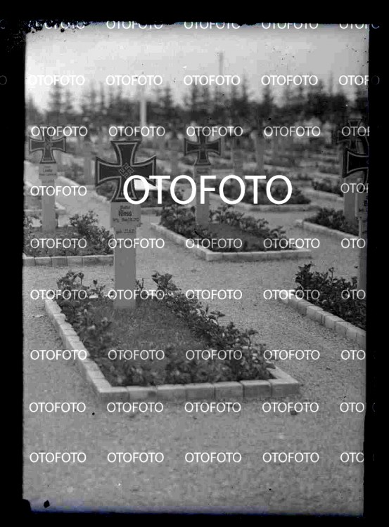 otofoto_f2339.jpg