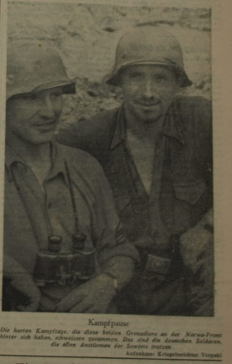 Narwa Front, 30 August 1944.jpg