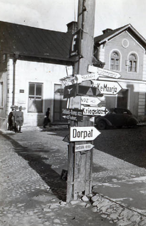 koht5.jpg