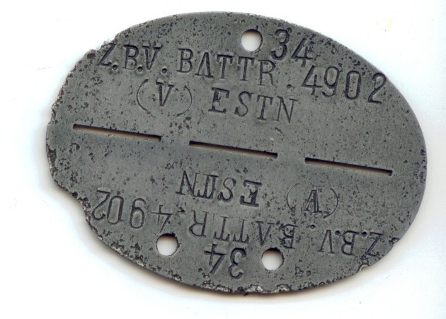 ZBV Battr.JPG