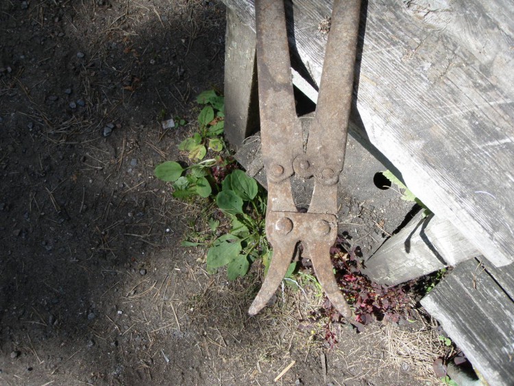 P7180005.JPG