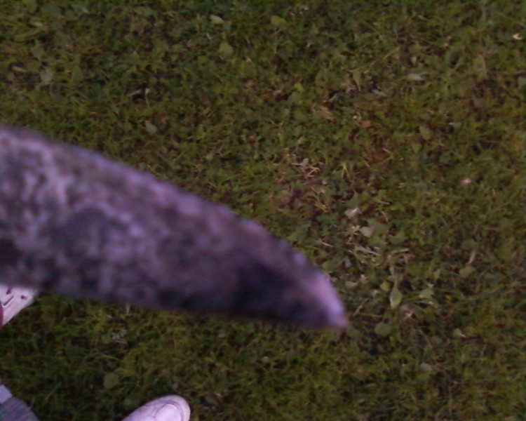 Fotod-0036.jpg