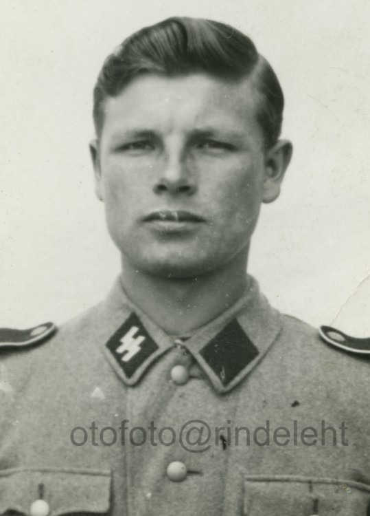 otofoto_f2905.jpg