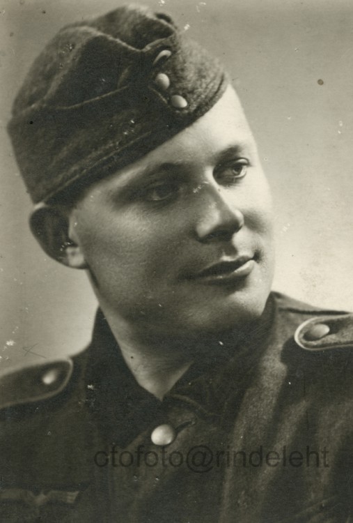 otofoto_f2946.jpg