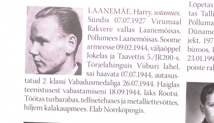 laanemäe.JPG