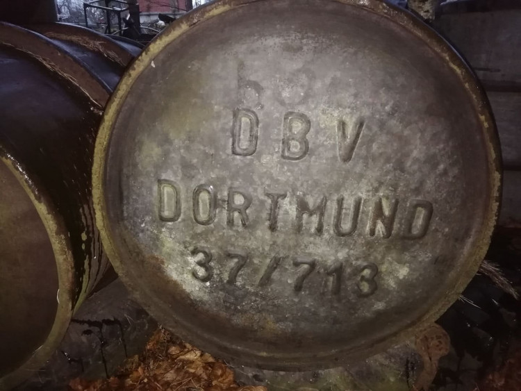 DBV DORTMUND.jpg