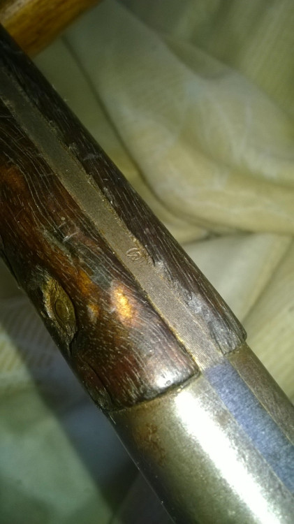 WP_20220621_010.jpg