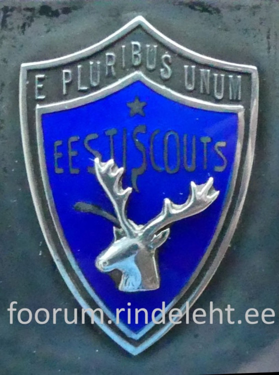 Scouts.jpg