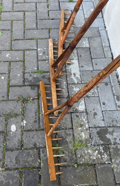 IMG_4368.jpeg
