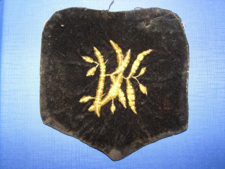 SNC10007.jpg