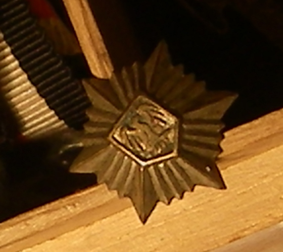 KL hõbetärn.JPG